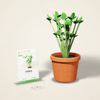 Celery Seeds – Tall Utah