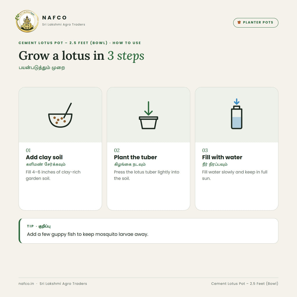 Cement Lotus Pot – 2.5 Feet (Bowl) – how to use