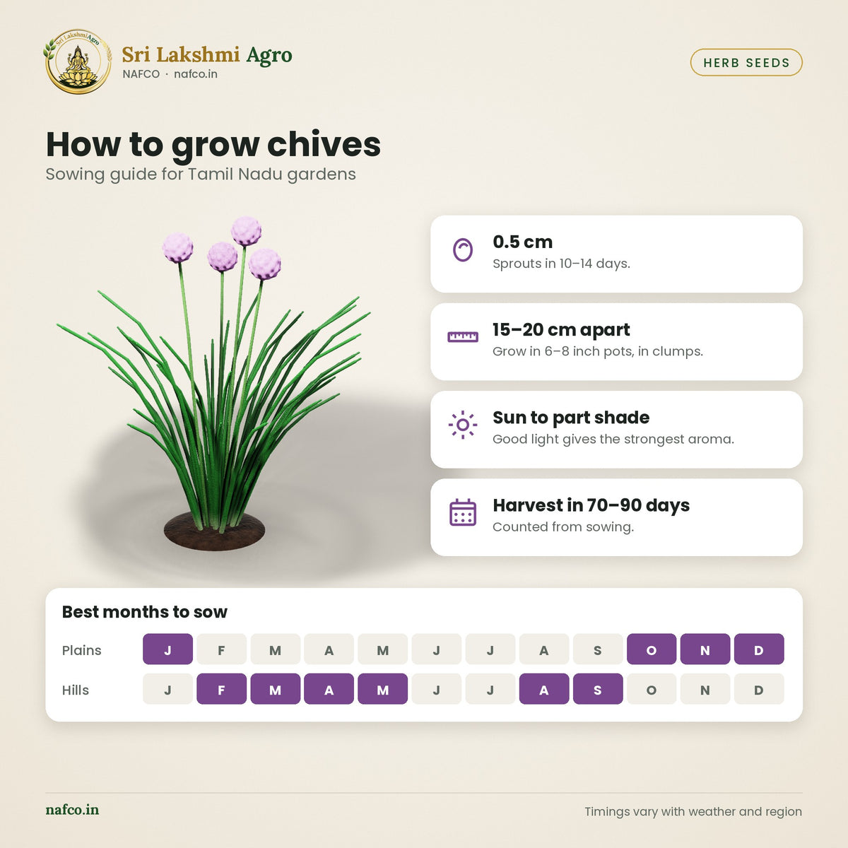 Chives Seeds – sowing guide