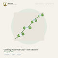Climbing Plant Wall Clips – Self-Adhesive