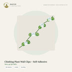 Climbing Plant Wall Clips – Self-Adhesive