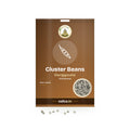 Cluster Beans Seeds: Sri Lakshmi Agro seed packet with a window showing the seeds