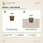 Coir Pots – Biodegradable Coco Fibre Pots – features