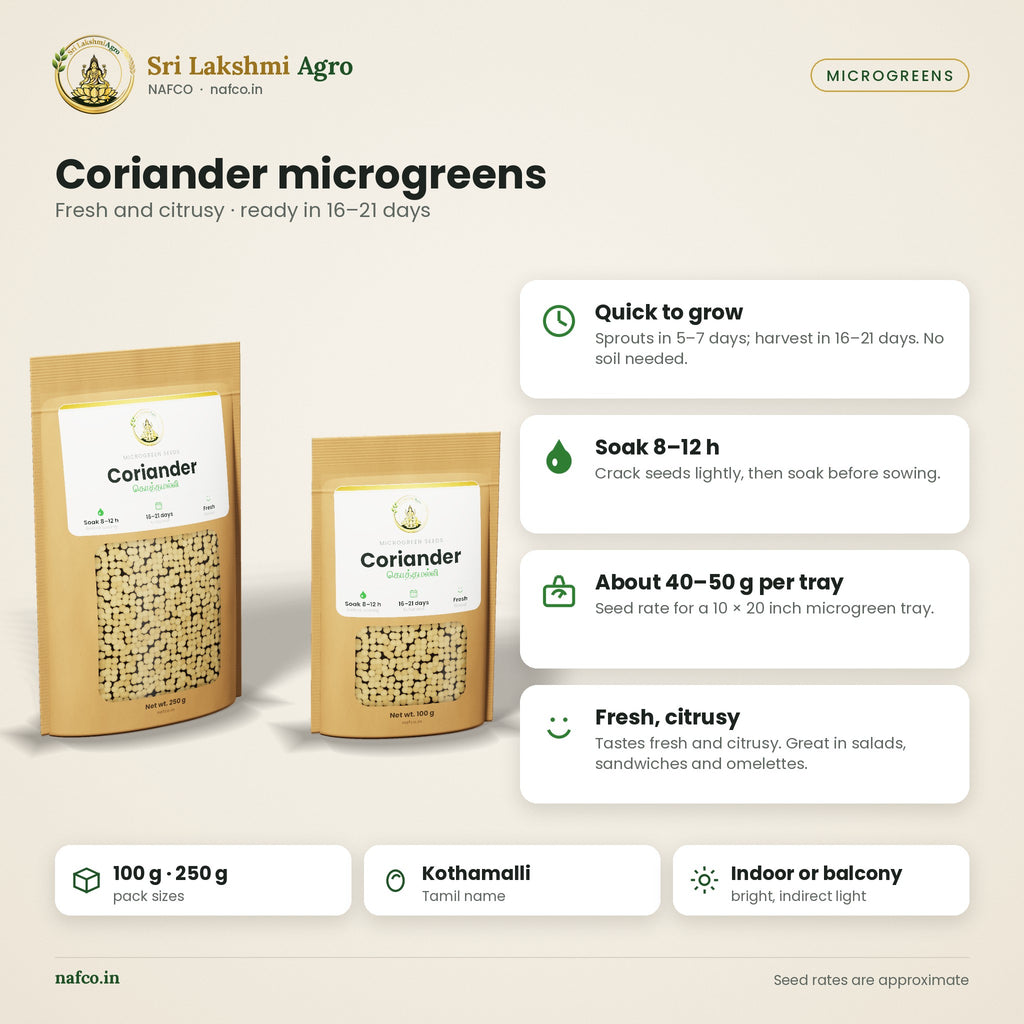 Coriander Microgreen Seeds (Kothamalli) – features