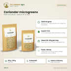 Coriander Microgreen Seeds (Kothamalli) – features