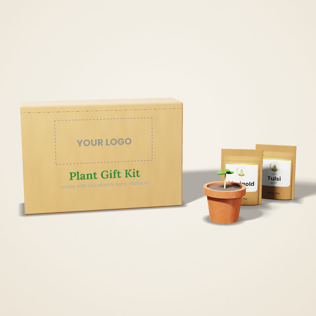 Corporate Plant Gift Kit – Custom Logo