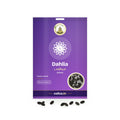 Dahlia Seeds – Mixed: Sri Lakshmi Agro seed packet with a window showing the seeds