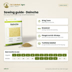 Daincha (Thakkai Poondu) Green Manure Seeds – sowing guide