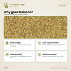 Daincha (Thakkai Poondu) Green Manure Seeds – benefits
