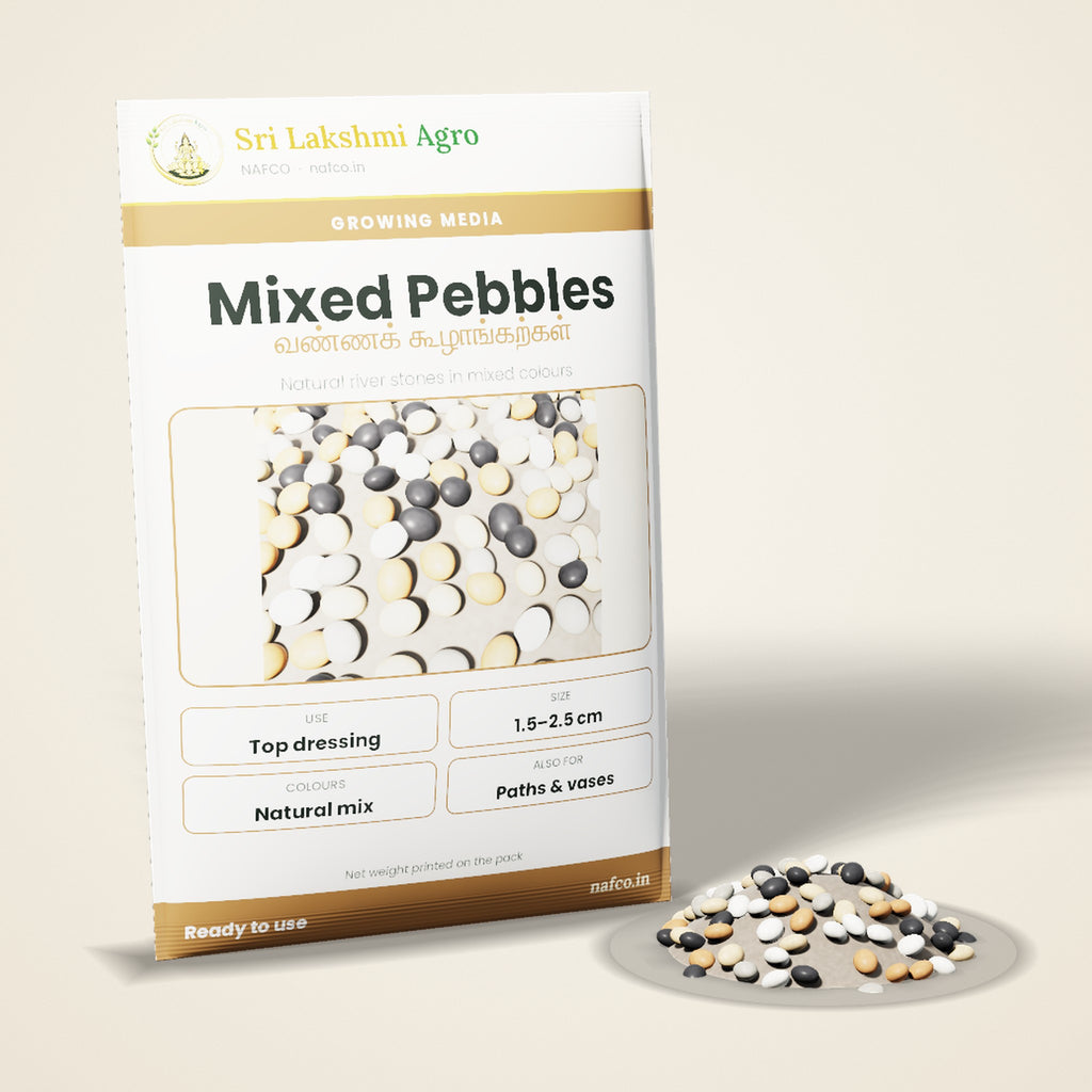 Decorative Pebbles – Mixed Colours