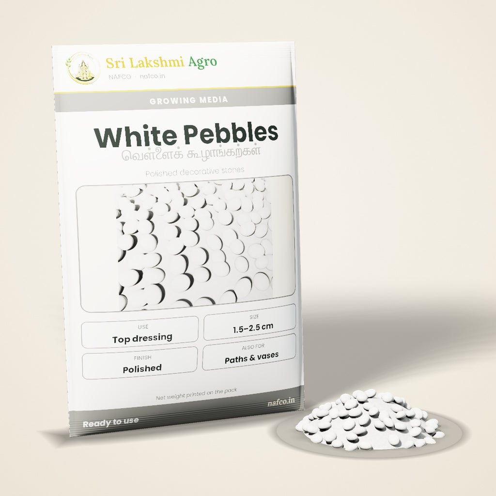 Decorative Pebbles – White