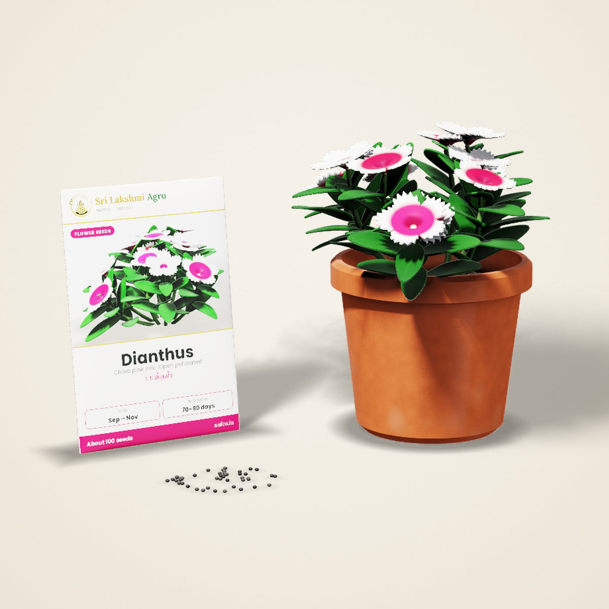 Dianthus Seeds – Mixed Colours