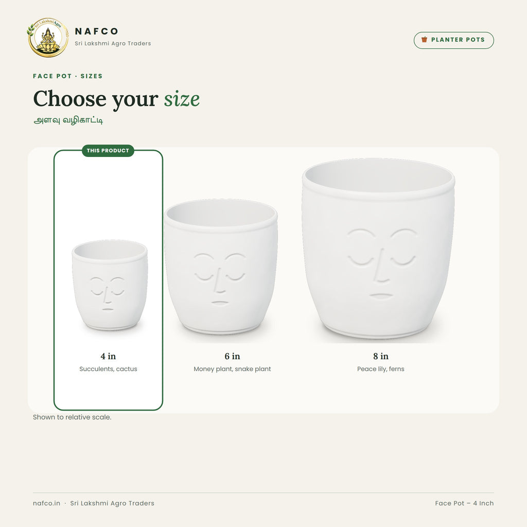Face Pot – 4 Inch – size guide