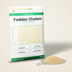 Fodder Cholam Seeds – Multi-cut Sorghum