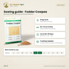 Fodder Cowpea Seeds – sowing guide
