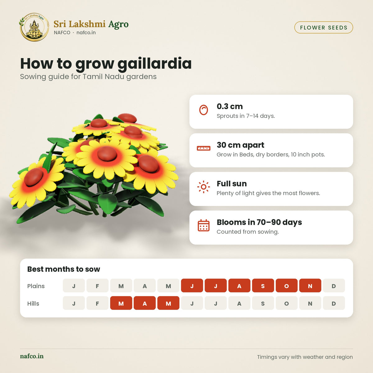 Gaillardia Seeds – Blanket Flower – sowing guide