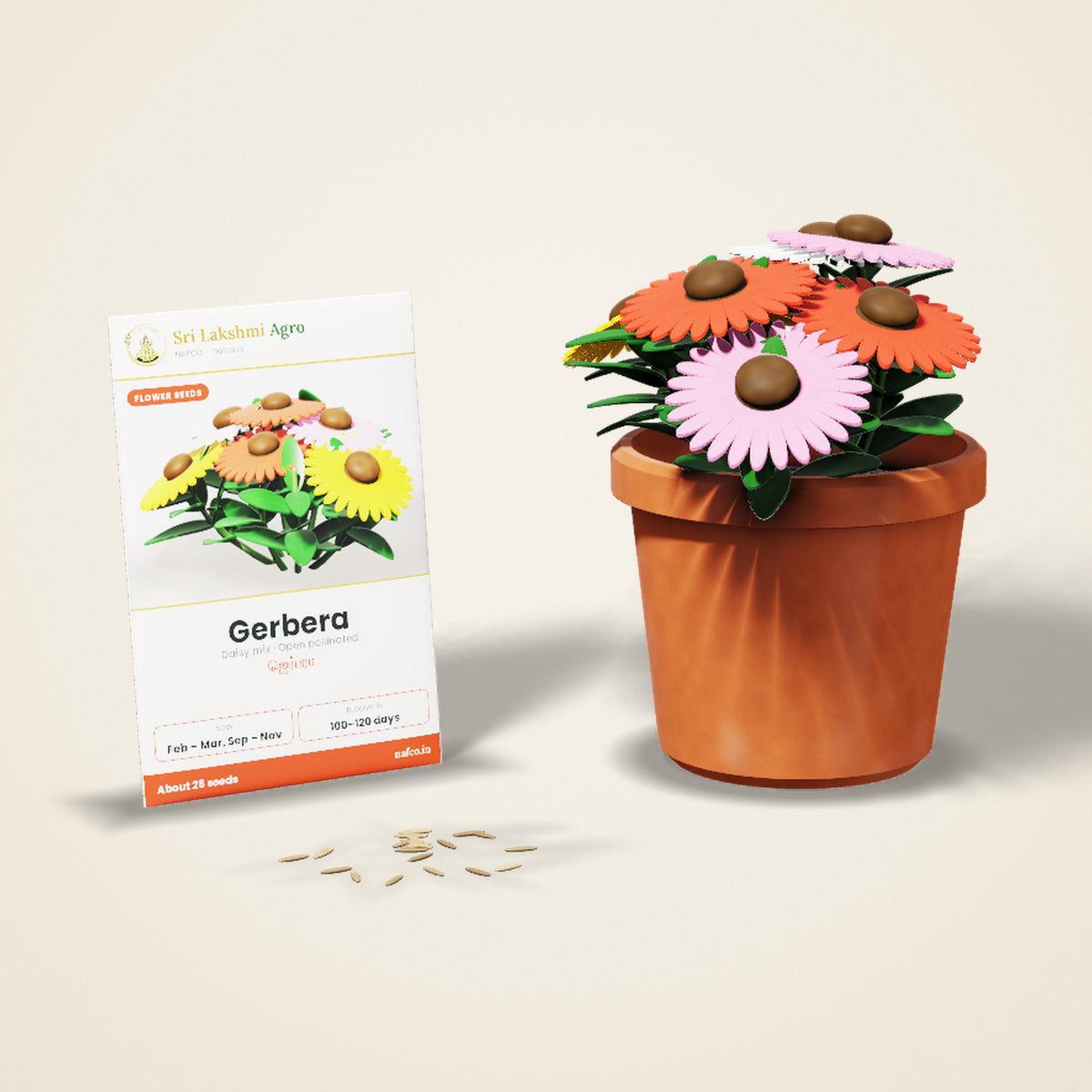 Gerbera Seeds – Mixed Colours