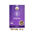 Gladiolus Bulbs – Set of 4: Sri Lakshmi Agro seed packet with a window showing the seeds