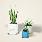 Glazed Ceramic Pot with Saucer