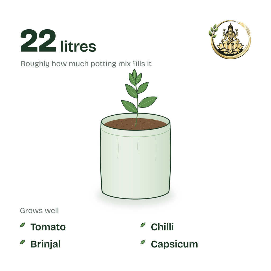 12 × 12 inch grow bag filled with potting mix and a young plant; holds about 22 litres; suits tomato, chilli, brinjal and capsicum