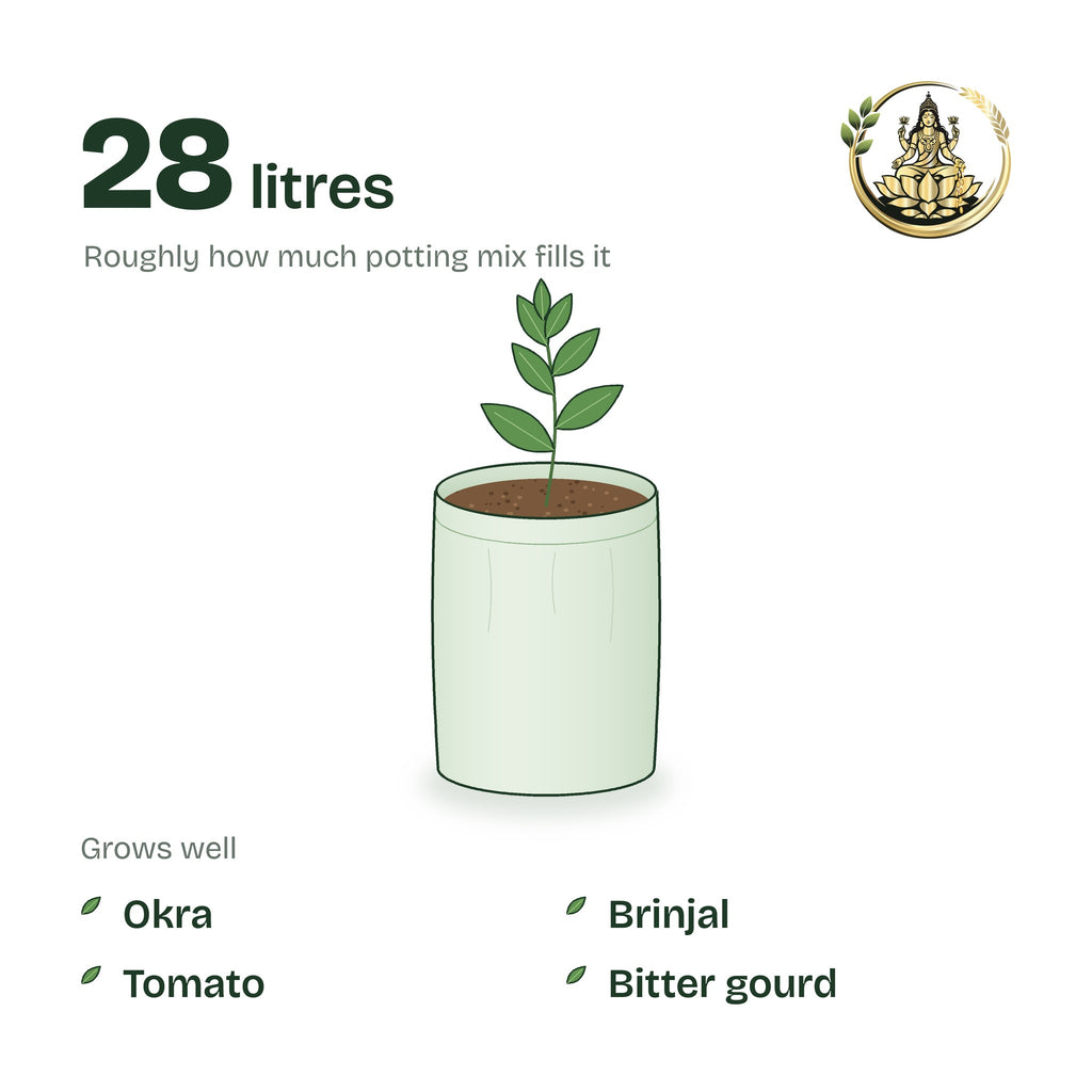 12 × 15 inch grow bag filled with potting mix and a young plant; holds about 28 litres; suits okra, brinjal, tomato and bitter gourd