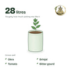 12 × 15 inch grow bag filled with potting mix and a young plant; holds about 28 litres; suits okra, brinjal, tomato and bitter gourd