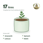 12 × 9 inch grow bag filled with potting mix and a young plant; holds about 17 litres; suits amaranth, spinach, lettuce and methi