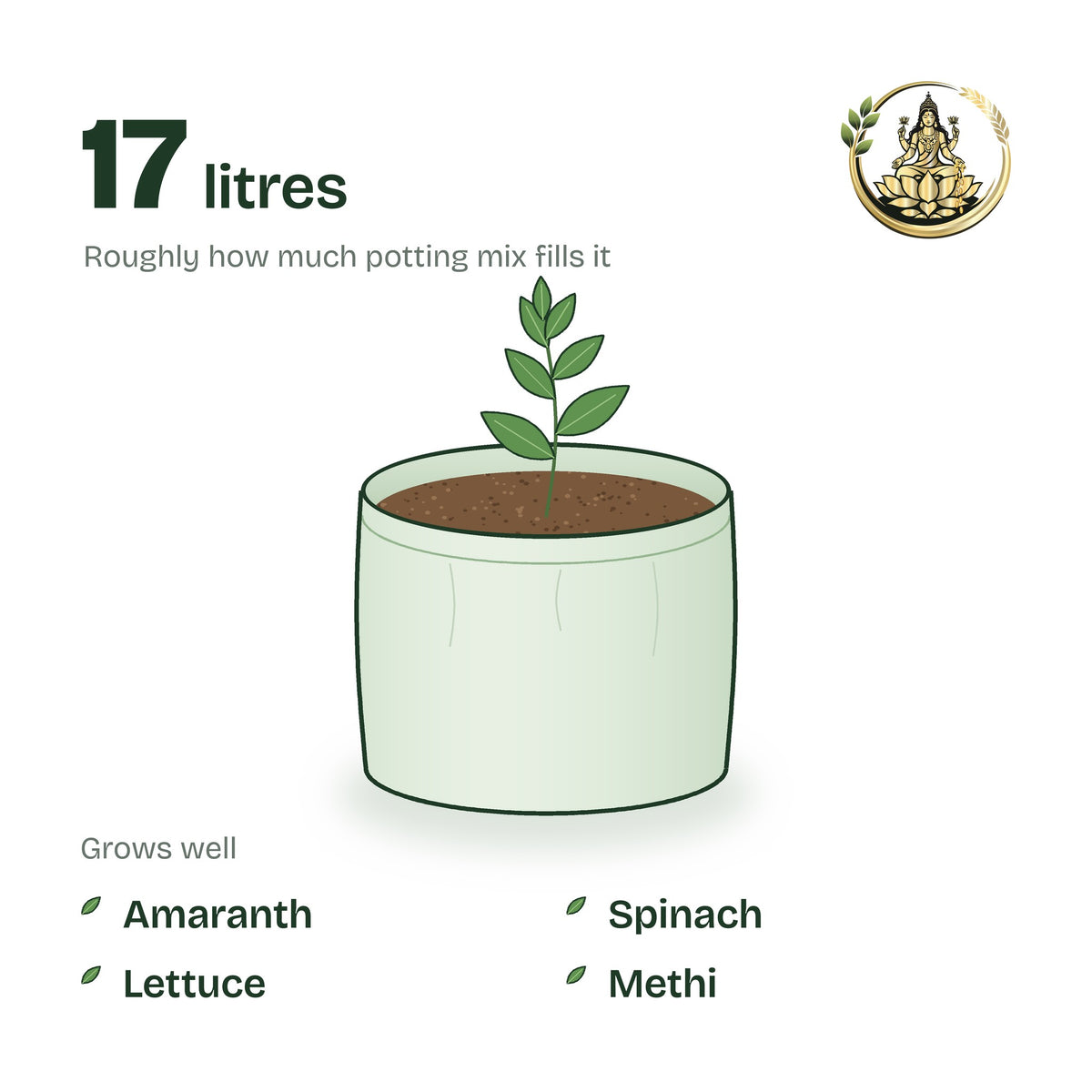 12 × 9 inch grow bag filled with potting mix and a young plant; holds about 17 litres; suits amaranth, spinach, lettuce and methi
