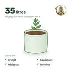 15 × 12 inch grow bag filled with potting mix and a young plant; holds about 35 litres; suits brinjal, capsicum, hibiscus and jasmine