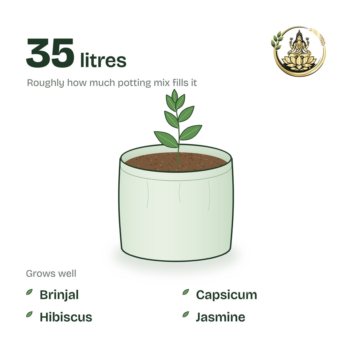 15 × 12 inch grow bag filled with potting mix and a young plant; holds about 35 litres; suits brinjal, capsicum, hibiscus and jasmine