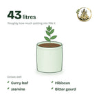15 × 15 inch grow bag filled with potting mix and a young plant; holds about 43 litres; suits curry leaf, hibiscus, jasmine and bitter gourd