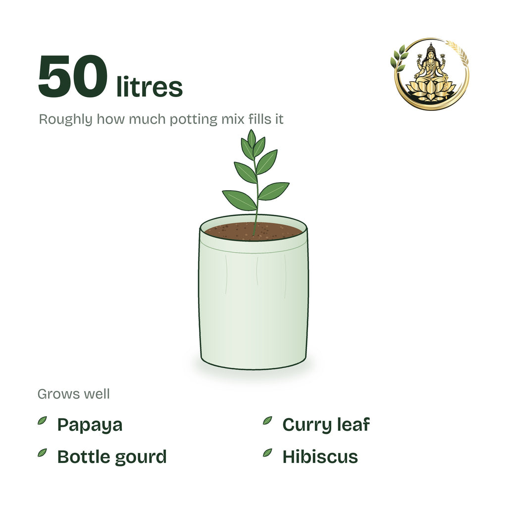 15 × 18 inch grow bag filled with potting mix and a young plant; holds about 50 litres; suits papaya, curry leaf, bottle gourd and hibiscus