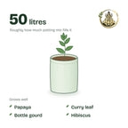 15 × 18 inch grow bag filled with potting mix and a young plant; holds about 50 litres; suits papaya, curry leaf, bottle gourd and hibiscus