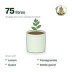 18 × 18 inch grow bag filled with potting mix and a young plant; holds about 75 litres; suits lemon, pomegranate, guava and bottle gourd