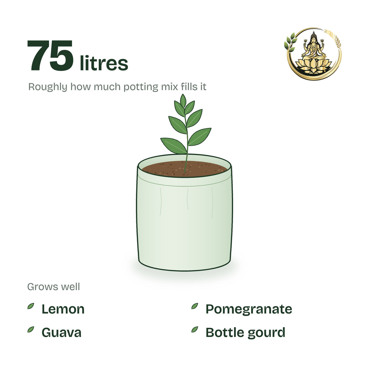 18 × 18 inch grow bag filled with potting mix and a young plant; holds about 75 litres; suits lemon, pomegranate, guava and bottle gourd