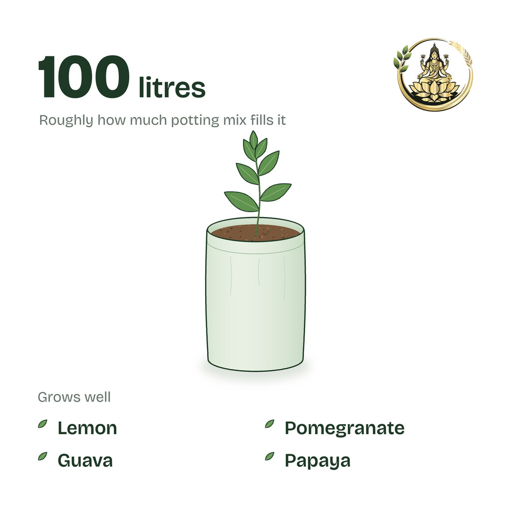 18 × 24 inch grow bag filled with potting mix and a young plant; holds about 100 litres; suits lemon, pomegranate, guava and papaya