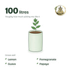 18 × 24 inch grow bag filled with potting mix and a young plant; holds about 100 litres; suits lemon, pomegranate, guava and papaya