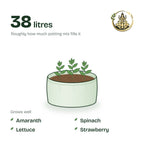 18 × 9 inch grow bag filled with potting mix and a young plant; holds about 38 litres; suits amaranth, spinach, lettuce and strawberry