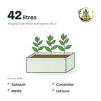 24 × 12 × 9 inch grow bag filled with potting mix and a young plant; holds about 42 litres; suits spinach, coriander, methi and lettuce