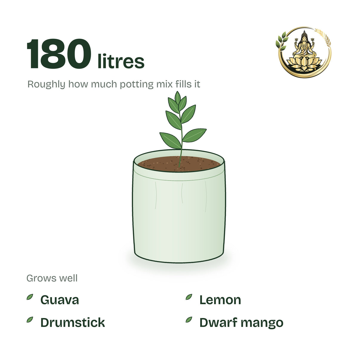 24 × 24 inch grow bag filled with potting mix and a young plant; holds about 180 litres; suits guava, lemon, drumstick and dwarf mango