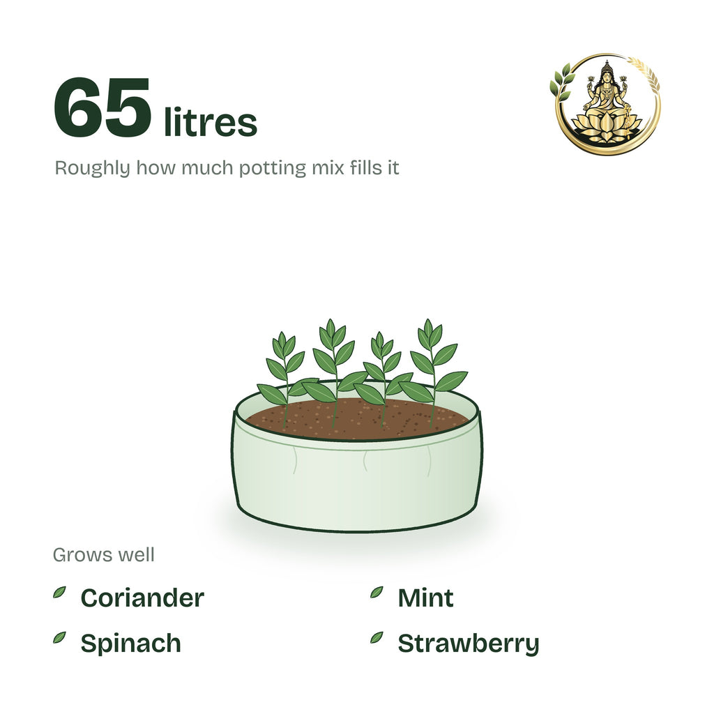 24 × 9 inch grow bag filled with potting mix and a young plant; holds about 65 litres; suits coriander, mint, spinach and strawberry