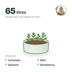 24 × 9 inch grow bag filled with potting mix and a young plant; holds about 65 litres; suits coriander, mint, spinach and strawberry