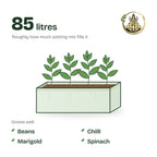 36 × 12 × 12 inch grow bag filled with potting mix and a young plant; holds about 85 litres; suits beans, chilli, marigold and spinach