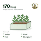 36 × 24 × 12 inch grow bag filled with potting mix and a young plant; holds about 170 litres; suits tomato, brinjal, okra and bitter gourd