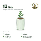 9 × 12 inch grow bag filled with potting mix and a young plant; holds about 13 litres; suits radish, carrot, beetroot and spring onion