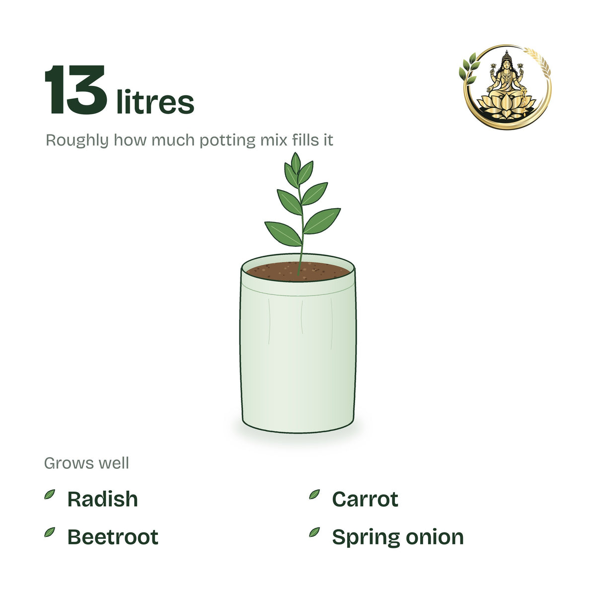 9 × 12 inch grow bag filled with potting mix and a young plant; holds about 13 litres; suits radish, carrot, beetroot and spring onion
