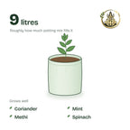 9 × 9 inch grow bag filled with potting mix and a young plant; holds about 9 litres; suits coriander, mint, methi and spinach