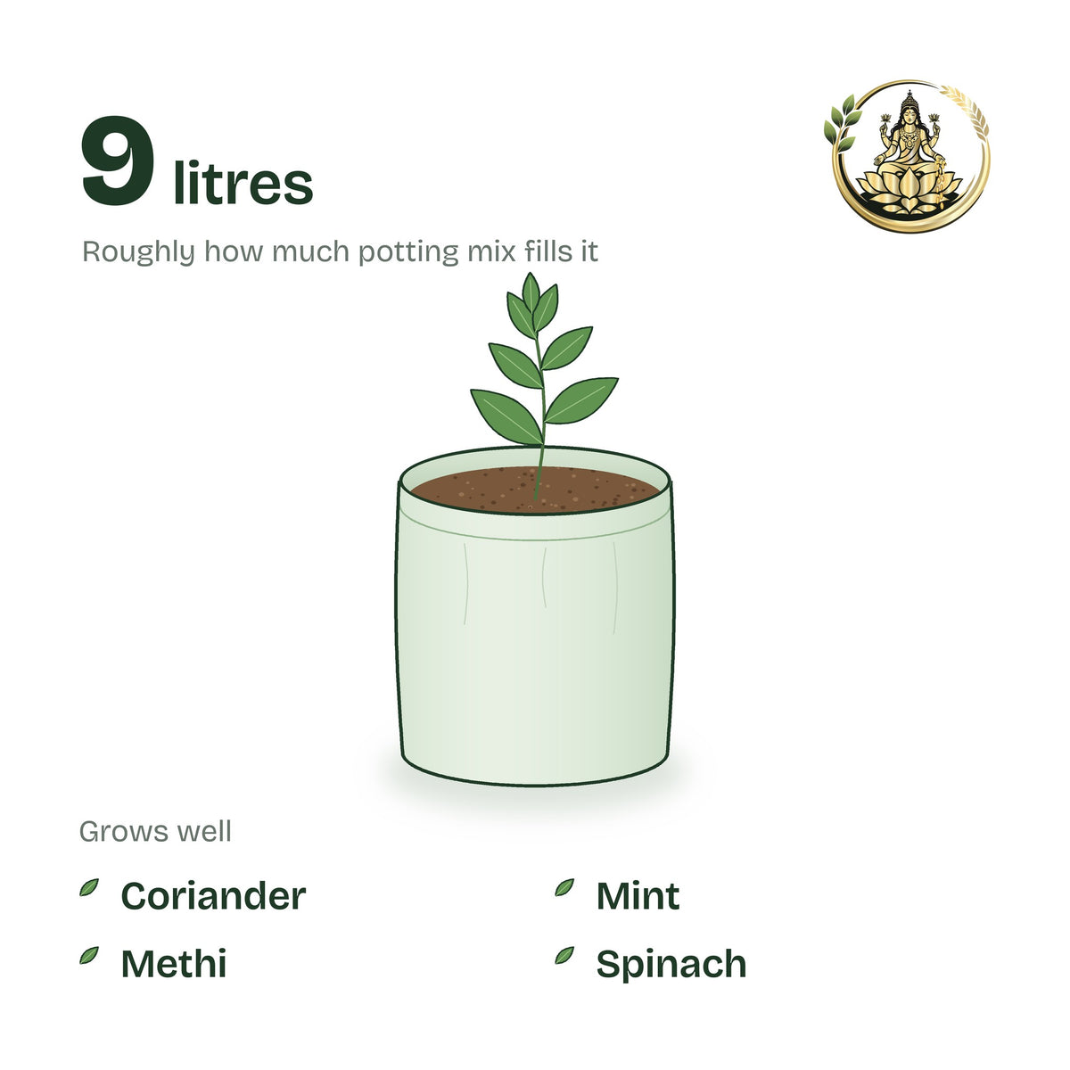 9 × 9 inch grow bag filled with potting mix and a young plant; holds about 9 litres; suits coriander, mint, methi and spinach