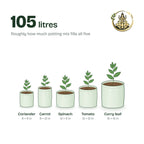The five combo bags planted with coriander, carrot, spinach, tomato and curry leaf; about 105 litres in total