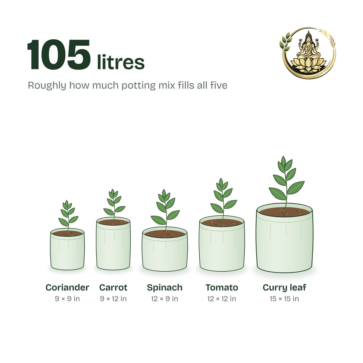 The five combo bags planted with coriander, carrot, spinach, tomato and curry leaf; about 105 litres in total